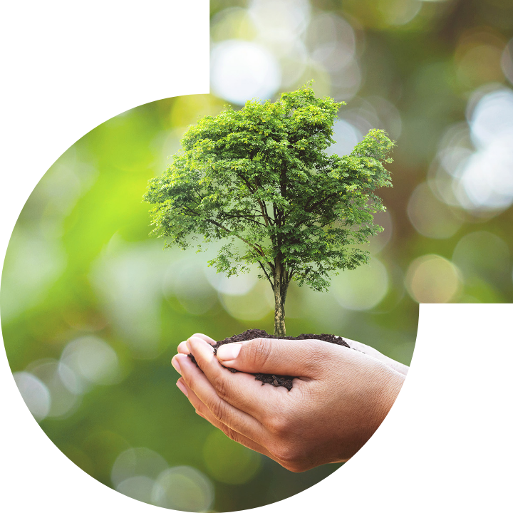 关怀人类、文化、环境与社会